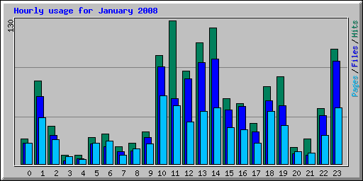 Hourly usage for January 2008